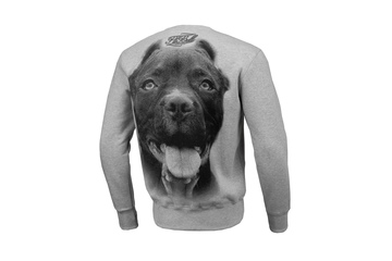 Bluza Pit Bull Pitbull IR - Szara