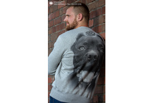 Bluza Pit Bull Pitbull IR - Szara