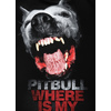 Bluza z kapturem Pit Bull Where is my money - Czarna