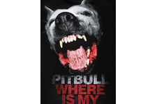 Bluza z kapturem Pit Bull Where is my money - Czarna