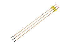 Strzała drewniana POE LANG do łuku BLACK POINT 30" 3SZT