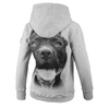 Bluza damska z kapturem Pit Bull Pitbull IR '21 - Szara