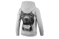 Bluza damska z kapturem Pit Bull Pitbull IR '21 - Szara