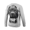 Bluza damska Pit Bull Pitbull IR '21 - Szara