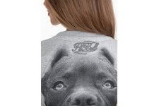 Bluza damska Pit Bull Pitbull IR '21 - Szara