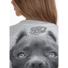 Bluza damska Pit Bull Pitbull IR '21 - Szara