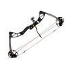 Łuk bloczkowy POE LANG REX QUAD 15-55lb 28ATA black