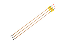 Strzała drewniana POE LANG do łuku BLACK POINT 29" 3SZT