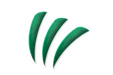 Lotka naturalna POE LANG 3" GREEN
