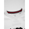 Koszulka Pit Bull Regular Fit 210 Old Logo '20 - Biała