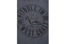 Koszulka Pit Bull Custom Fit Melange Circle Dog'20 - Chabrowa
