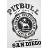 Koszulka Pit Bull University Logo'20 - Biała