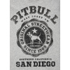Koszulka Pit Bull University Logo'20 - Szara