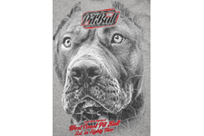 Koszulka Pit Bull Stamp 16 '20 - Szara