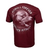 Koszulka Pit Bull PFFP'20 - Bordowa