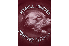 Koszulka Pit Bull PFFP'20 - Bordowa