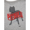 Koszulka Pit Bull California Dog'20 - Szara