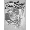Koszulka Pit Bull San Diego III'20 - Szara