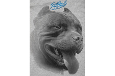 Koszulka Pit Bull Red Nose II '21 - Szara