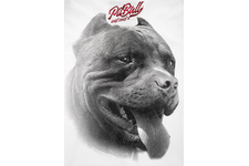 Koszulka Pit Bull Red Nose II '21 - Biała