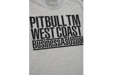 Koszulka Pit Bull Business As Usual'20 - Szara