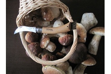 Nóż Opinel NO8 INOX MUSHROOM