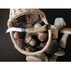Nóż Opinel NO8 INOX MUSHROOM