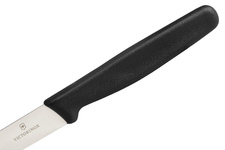 Nóż kuchenny Victorinox Standard Paring Black