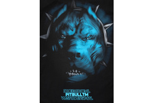 Koszulka z długim rękawem Pit Bull BED V'20 - Czarna