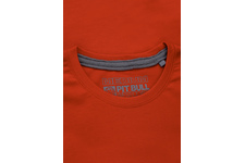 Koszulka Pit Bull Small Logo '20 - Pomarańczowa