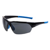 Okulary Polar Star PS18 PORTWEST - przydymione