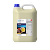 Pasta żelowa PRO-CHEM LEMON 5L - cytrynowa