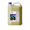 Preparat do czyszczenia DPF i EGR PRO-CHEM DPF CLEANER 5 L