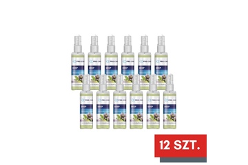 Odświeżacz powietrza PRO-CHEM DEEP- Kwiat pasji 12x200ml