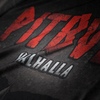 Rashguard termoaktywny Pit Bull T-S Valhalla'20 - Czarny