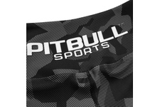 Leginsy sportowe damskie Pit Bull Dillard'20 - Szare