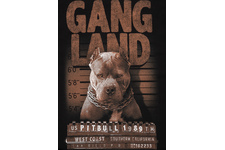 Bluza Pit Bull Mugshot '20 - Czarna