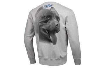 Bluza Pit Bull Red Nose II '20 - Szara