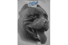 Bluza Pit Bull Red Nose II '20 - Szara