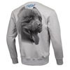 Bluza Pit Bull Red Nose II '20 - Szara