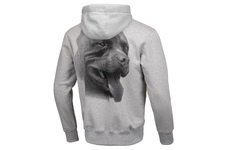 Bluza z kapturem Pit Bull Red Nose II '20 - Szara