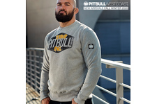 Bluza Pit Bull Scare '20 - Szara