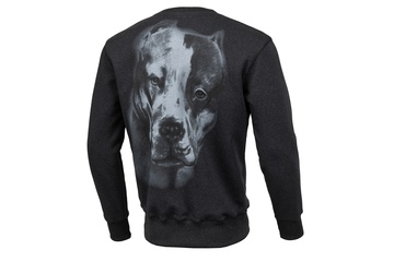 Bluza Pit Bull San Diego II'20 - Grafitowa