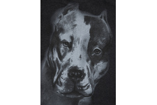 Bluza Pit Bull San Diego II'20 - Grafitowa