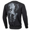 Bluza Pit Bull San Diego II'20 - Grafitowa