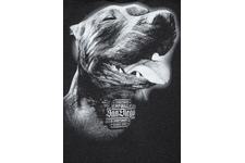 Bluza Pit Bull San Diego IV'20 - Grafitowa