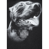 Bluza Pit Bull San Diego IV'20 - Grafitowa