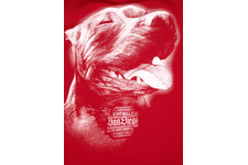 Bluza Pit Bull San Diego IV'20 - Czerwona