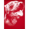 Bluza Pit Bull San Diego IV'20 - Czerwona