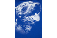 Bluza Pit Bull San Diego IV'20 - Niebieska